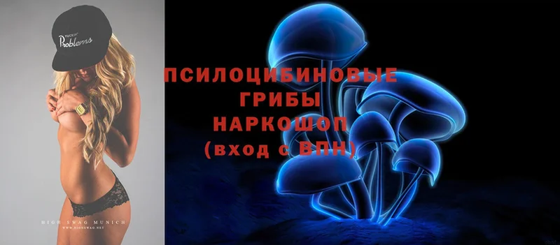 Псилоцибиновые грибы Magic Shrooms  закладка  mega маркетплейс  Жуков 